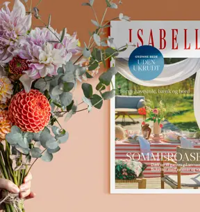 /siteassets/img//globalassets/brands/dkis/cms/isabellas_gaveisa_gave_1500x900.jpg