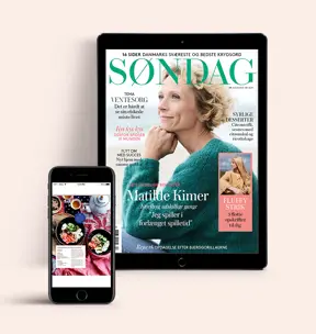 /siteassets/img//globalassets/brands/dkso/cms/sondag-pling-premiumdigital_1500x900.png