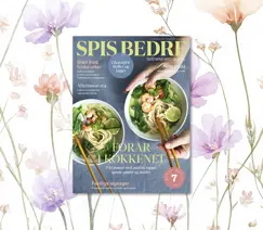 SPIS BEDRE