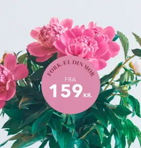 /siteassets/img//globalassets/brands/kampagner/morsdag/aller-morsdag-gaveabonnement.jpg