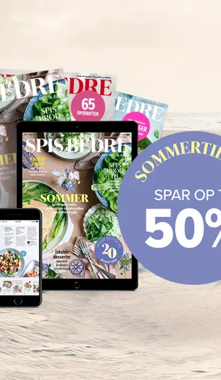 /siteassets/img//globalassets/brands/kampagner/sb/2025_05_sb_sommer_forside_1500x900_3.jpg