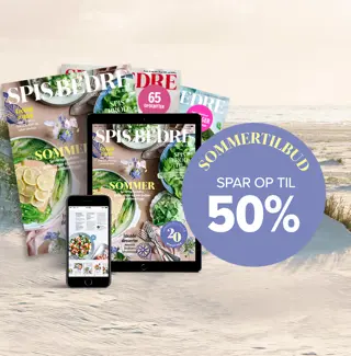 /siteassets/img//globalassets/brands/kampagner/sb/2025_05_sb_sommer_forside_1500x900_3.jpg