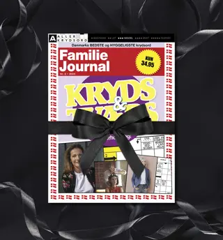 25 12 Bf Lp Kryds Og Tværs Tilbud