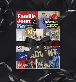 25 12 Bf Lp Familie Journal Tilbud