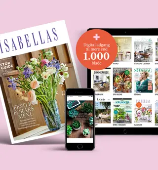 Isabellas Unlimited 1500X900