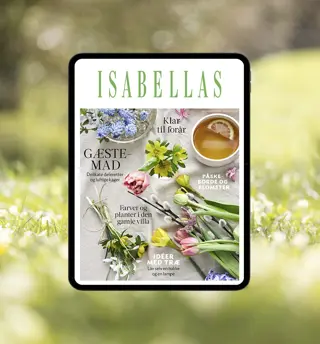 26 03 Digital Only ISA 1500X900