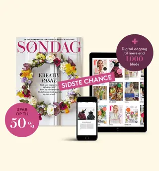 25 03 Søndag 1500X900 Sc