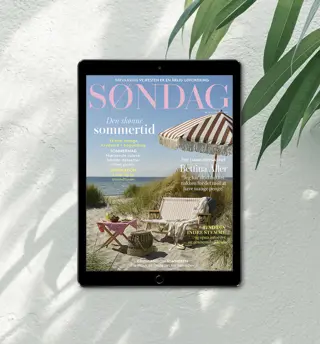 26 06 Sondag Sommerkampagne